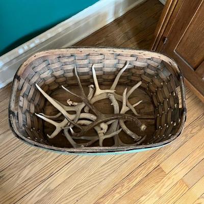 various deer antlers, loose