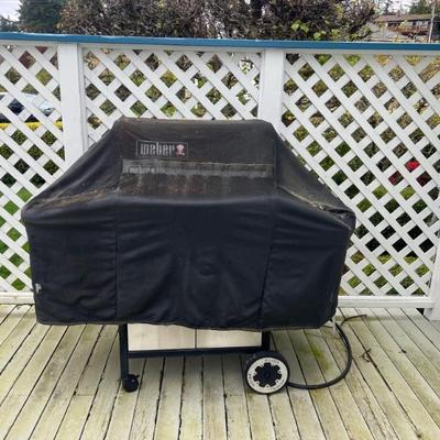 Weber BBQ grill