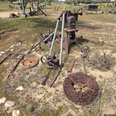 #1330 â€¢ Lawn Art
