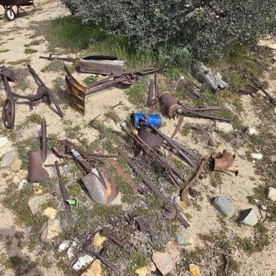 #1350 â€¢ Lawn Art
