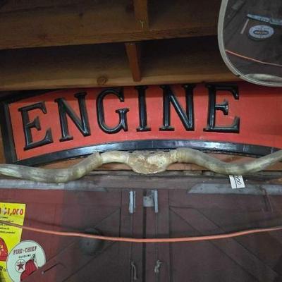 #2002 â€¢ Long Horn Mount
