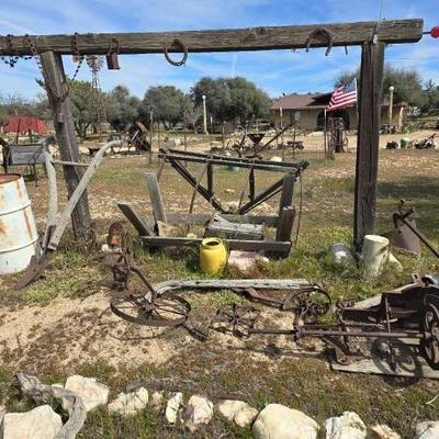 #1332 â€¢ Lawn Art
