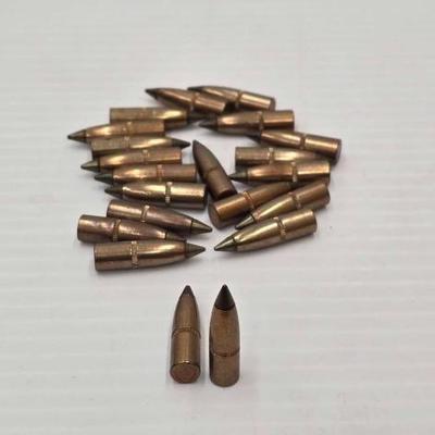 #1782 â€¢ (21) 270 Win Projectiles
