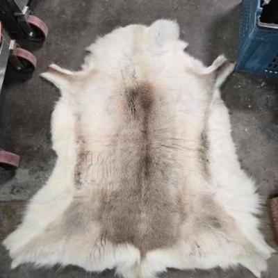 #2236 â€¢ Animal Hide
