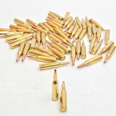 #1476 â€¢ 60 Rounds of .243w Ammo
