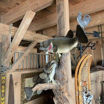 Barn Collection