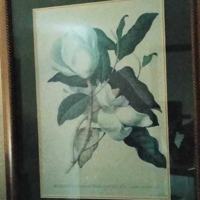 Botanical print