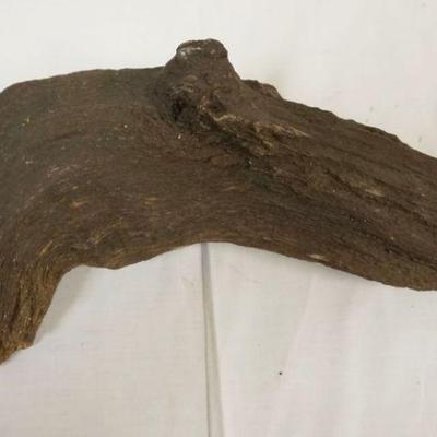 1192A	PETRIFIED WOOD, APPROXIMATELY 16 IN LONG
