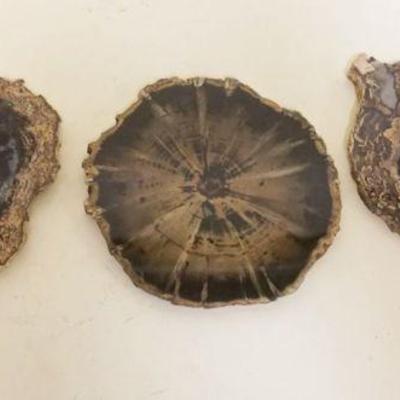 1192	PETRIFIED WOOD SLABS, GROUP OF 3, LARGEST APPROXIMATELY 5 IN X 8 IN
