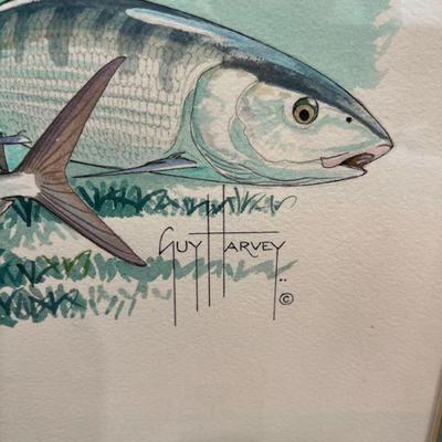 guy harvey artist