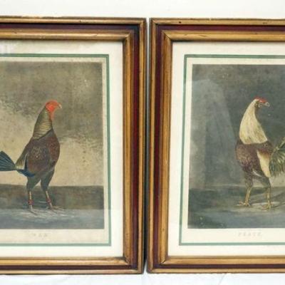 1139	PAIR OF ANTIQUE FRAMED ENGRAVINGS OF BIRDS NAVEL WAR & PEACE, PUBLISHED BY W.C. LEE, EACH APPROXIMATELY 25 IN X 28 1/2 IN...