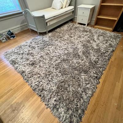 Shag Rug