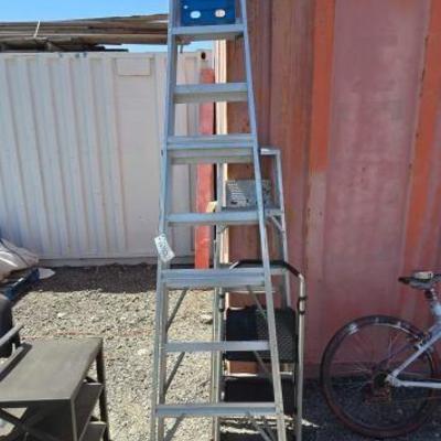 #80100 • (2) Ladders & (1) Step Ladder
