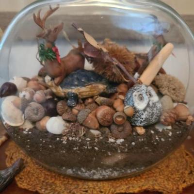Wildlife terrarium