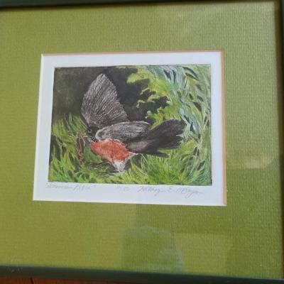 Signed & numbered print “American Robin”