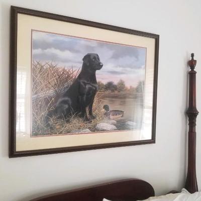 Black lab picture