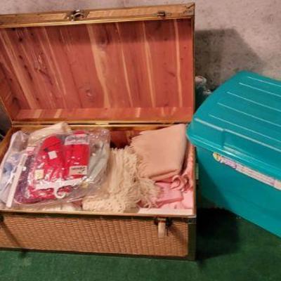Cedar Trunk