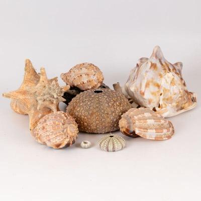Come into our showroom October 4-6, 10am-5pm to purchase this item. 