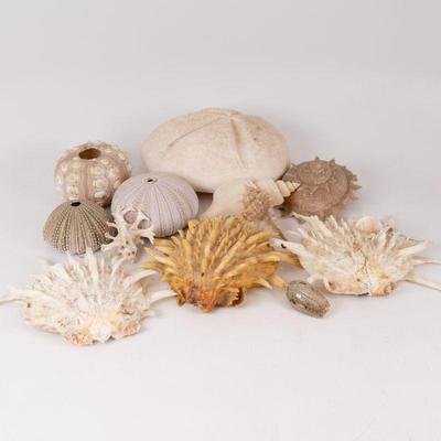 Come into our showroom October 4-6, 10am-5pm to purchase this item. 