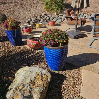 Potted plant