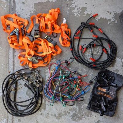 Lot #210 - Heavy Duty Ratchet Straps, Smart Bungee Cords Set, & Regular Bungee Cords