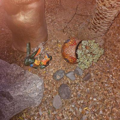Outdoor Plants/Pottery/Art
