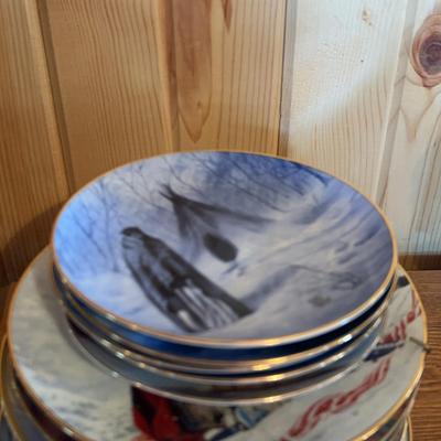 Native Decorated Plate Collection