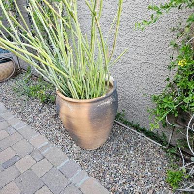Outdoor pottery/art