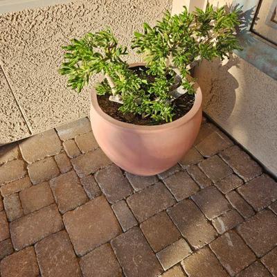Outdoor pottery/art