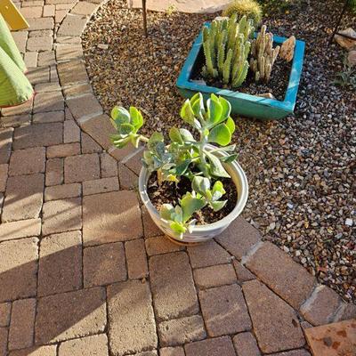 Outdoor pottery/art