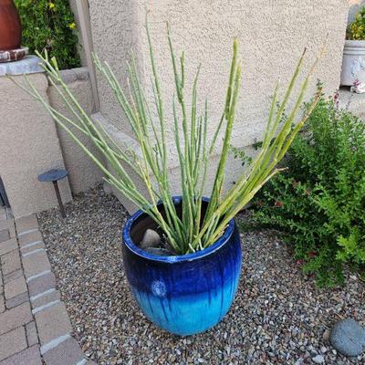 Outdoor pottery/art