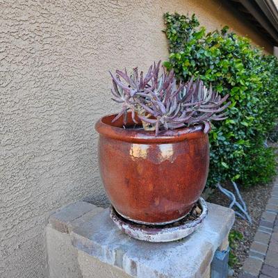Outdoor pottery/art