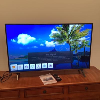 LG 43 Inch TV