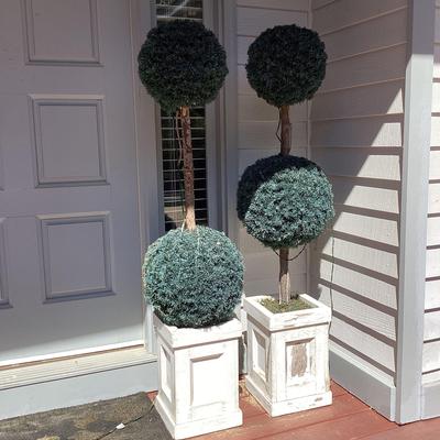 Pair Of Topiary Planters