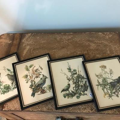 $20 each