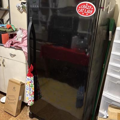 Upright digital freezer
