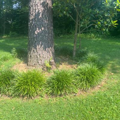 Bring your shovel to dig up plants