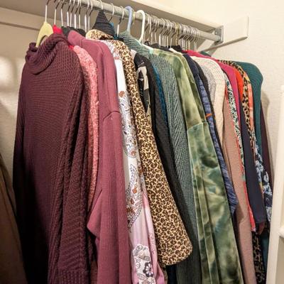 Lot #215 - Women's Size L Long Sleeved Tops Shirts Sweaters 41 Items