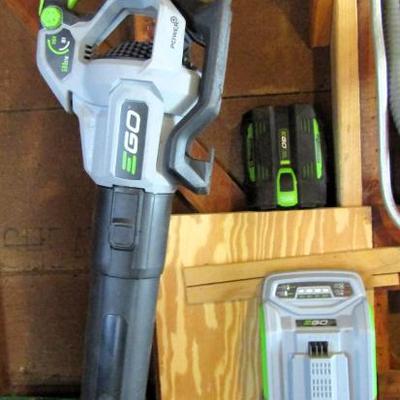 Ego leaf blower