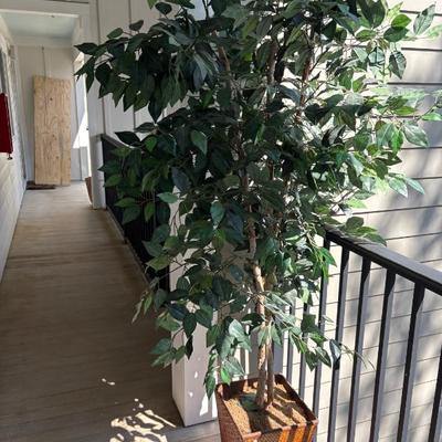 faux tree $50