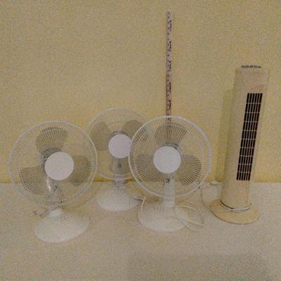 Fans