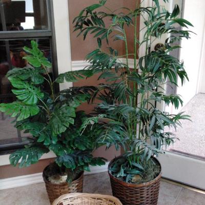 Artificial Plants