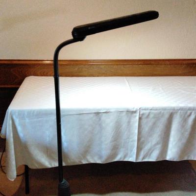 LR131 OTTLITE POLE LIGHT 