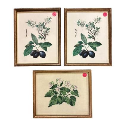 3 pc ANTIQUE BOTANICAL PRINTS & NEEDLEPOINT