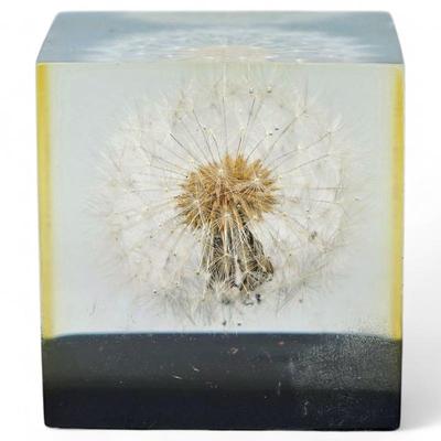 Vintage Gumps 1960s Lucite Dandelion Paperweight
