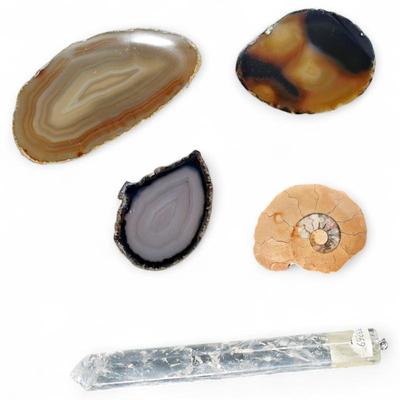 Set of Polished Agate Slices, Ammonite Fossil, & Clear Quartz Crystal