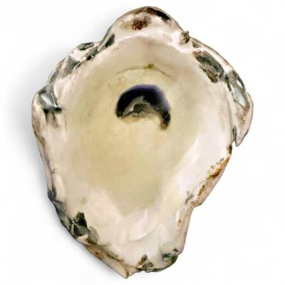 Porcelain Oyster Bowl