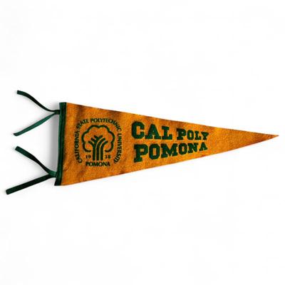 Vintage Cal Poly Pomona Felt School Banner