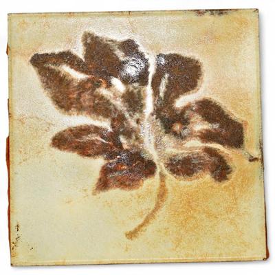 Botanical Leaf Print