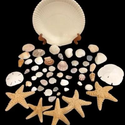Seashells & Starfish Assortment W/Shell Ceramic Plate 